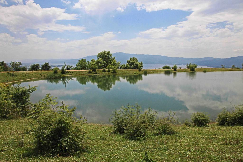 Refanidis Natural Luxury Hotel Áno Poróïa Dış mekan fotoğraf